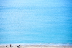 Celico Valentino - "Spiaggia a dicembre"