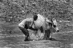 D'Eramo Umberto - "Washing in the river"