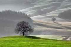 Magini Azelio - "Val d'Orcia"