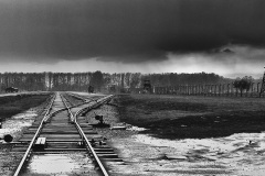 Alberghini-Medardo-Birkenau-binari