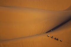 ZURFLA-B1-Deserto-marocchino